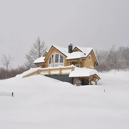 Villa Alpin *
